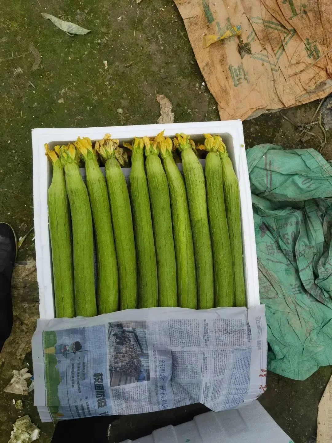 1679035163985012.jpg 微信圖片_20230317144100.jpg